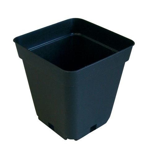 10cm Square Pot