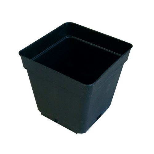 13cm Square Pot