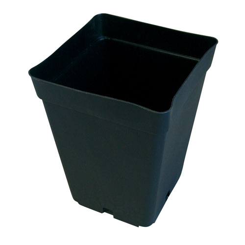 15cm Square Pot