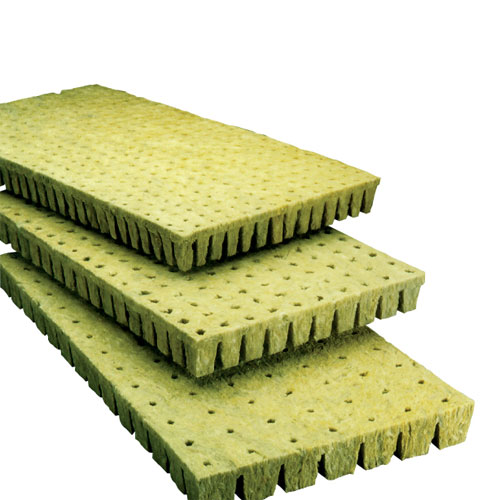 Grodan Rockwool (1" cubes, Box)